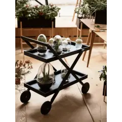 En svart serveringsvagn med terrarier och växter. En liten growbox med en suckulent står på den övre brickan.