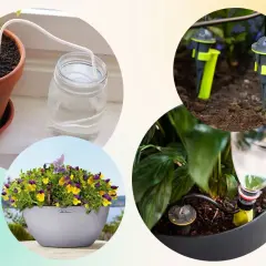 Smart bevattning för krukor: droppbevattning och självbevattningssystem som håller dina växter friska.