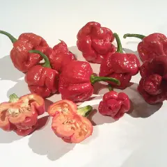 En samling röda, skrynkliga chilis, inklusive en delad trinidad scorpion med synliga frön.