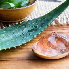 Aloe vera-blad och gel på en träsked. En skål med skivad aloe vera i bakgrunden. Lär dig hur ofta ska man vattna aloe vera för att den ska trivas.