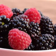 En skål med saftiga björnbär och hallon. Hallon, en söt stenfrukt, lyser upp bland de mörka bären.