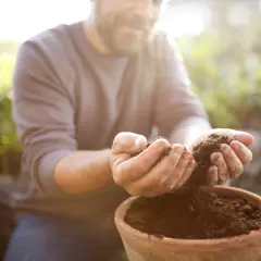 En man med skägg håller jord i händerna, redo att plantera. Kanske förbereder han för att lägga lecakulor i botten av krukan för bättre dränering.