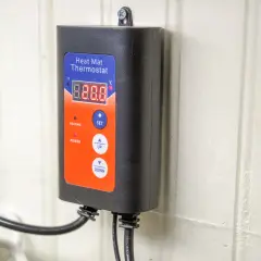 Svart väggmonterad värmemattatermostat med digital display och knappar. Perfekt för att reglera temperaturen i ditt terrarium eller reptilbur.