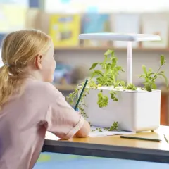 Flicka med flätat hår studerar en odlingslåda med belysning där örter växer.