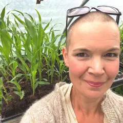 Kvinna i växthus med nyplanterad majs. Glasögon på huvudet.