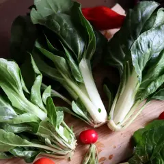 Färska mangoldblad och röda rädisor ligger på en träskärbräda, redo att sås från mangold frön.