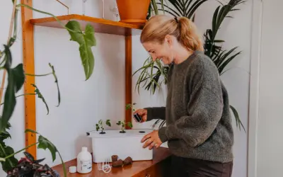 Glad kvinna planterar små plantor i ett hydroponiskt system. Hon använder en liten kruka med jord för att plantera en ny planta, kanske för att utöka sin harvy 6-odling.