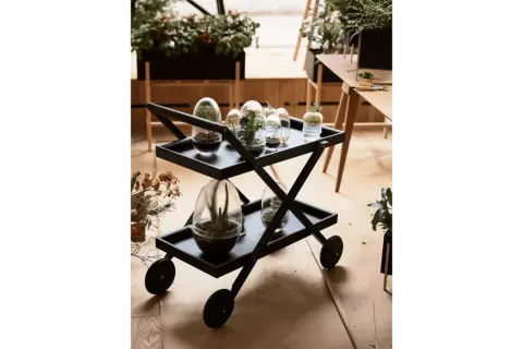 En svart serveringsvagn med terrarier och växter. En liten growbox med en suckulent står på den övre brickan.