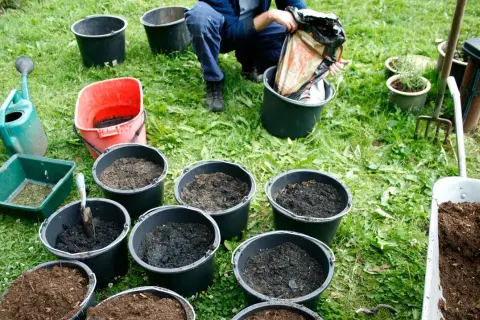 Person häller jord i en hink, omgiven av flera hinkar fyllda med jord och trädgårdsredskap. Förberedelser för plantering med grön kol.