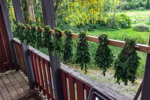 Buntar av örter, som oregano, hänger på tork på en veranda. Bakom syns en blomstrande träd och grönskande äng.