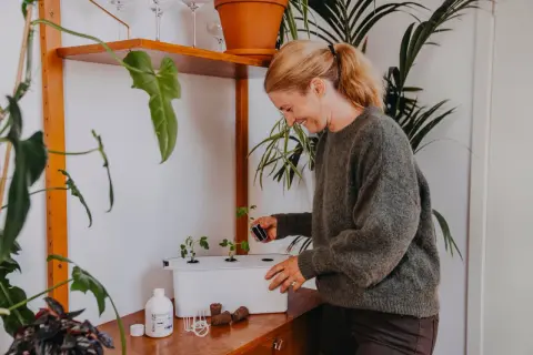 Glad kvinna planterar små plantor i ett hydroponiskt system. Hon använder en liten kruka med jord för att plantera en ny planta, kanske för att utöka sin harvy 6-odling.