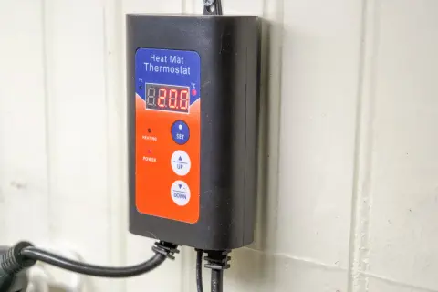 Svart väggmonterad värmemattatermostat med digital display och knappar. Perfekt för att reglera temperaturen i ditt terrarium eller reptilbur.