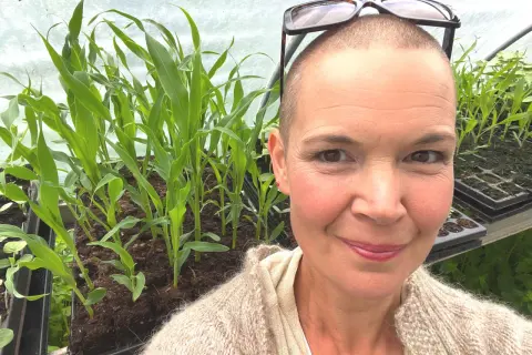 Kvinna i växthus med nyplanterad majs. Glasögon på huvudet.