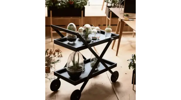 En svart serveringsvagn med terrarier och växter. En liten growbox med en suckulent står på den övre brickan.