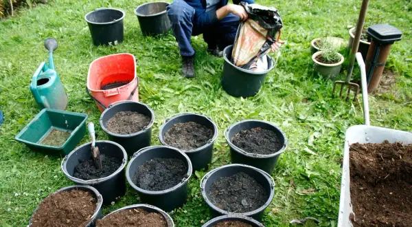 Person häller jord i en hink, omgiven av flera hinkar fyllda med jord och trädgårdsredskap. Förberedelser för plantering med grön kol.