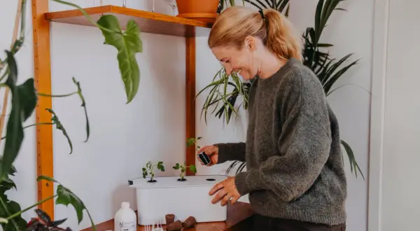 Glad kvinna planterar små plantor i ett hydroponiskt system. Hon använder en liten kruka med jord för att plantera en ny planta, kanske för att utöka sin harvy 6-odling.
