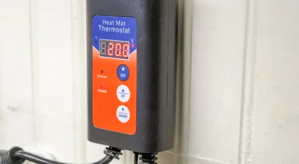 Svart väggmonterad värmemattatermostat med digital display och knappar. Perfekt för att reglera temperaturen i ditt terrarium eller reptilbur.