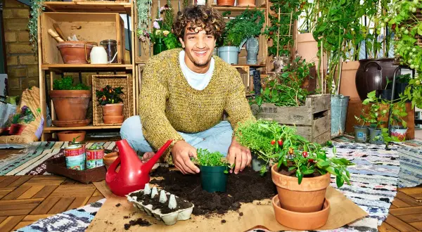 Glad man planterar örter och chili för att odla inomhus. Massor av grönska och krukor i bakgrunden.