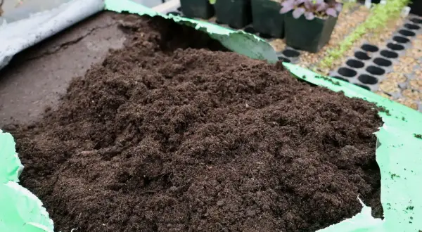 En stor hög med mörk blomjord ligger i en öppen grön plastpåse. I bakgrunden syns små plantor i krukor.