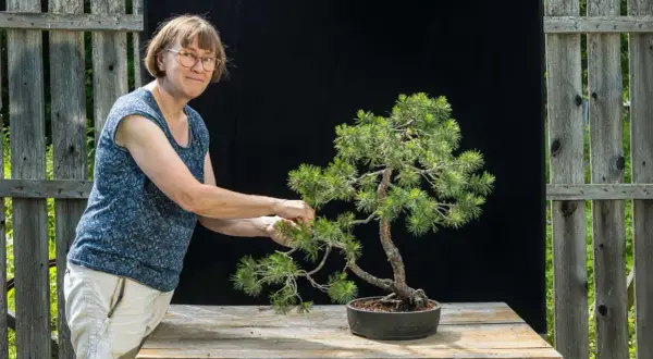 En kvinna med glasögon pysslar med ett vackert **drzewko bonsai** på ett träbord.
