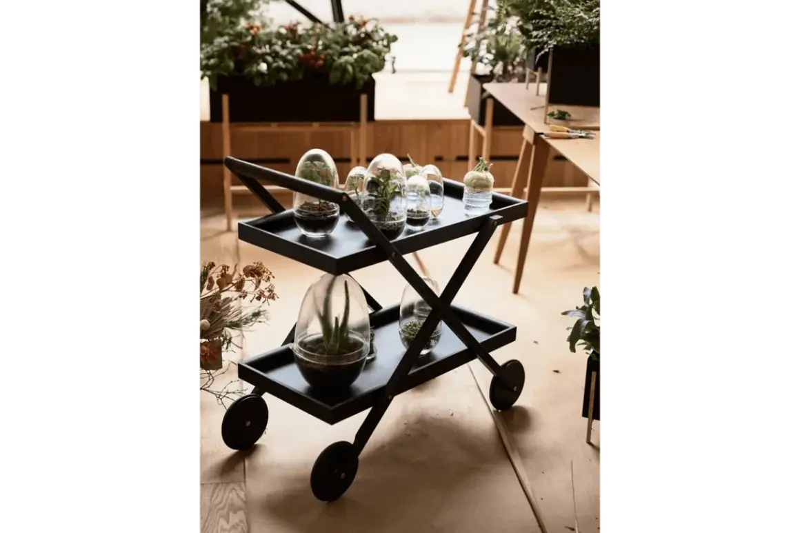 En svart serveringsvagn med terrarier och växter. En liten growbox med en suckulent står på den övre brickan.