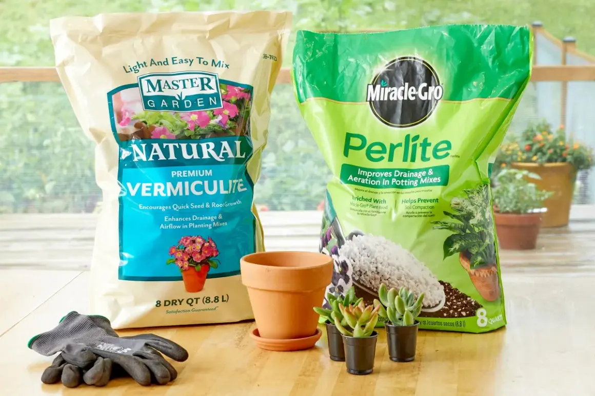 Två påsar jordförbättring, en med "Natural Premium Vermiculite" och en med "Perlite", redo att köpa för din trädgård.