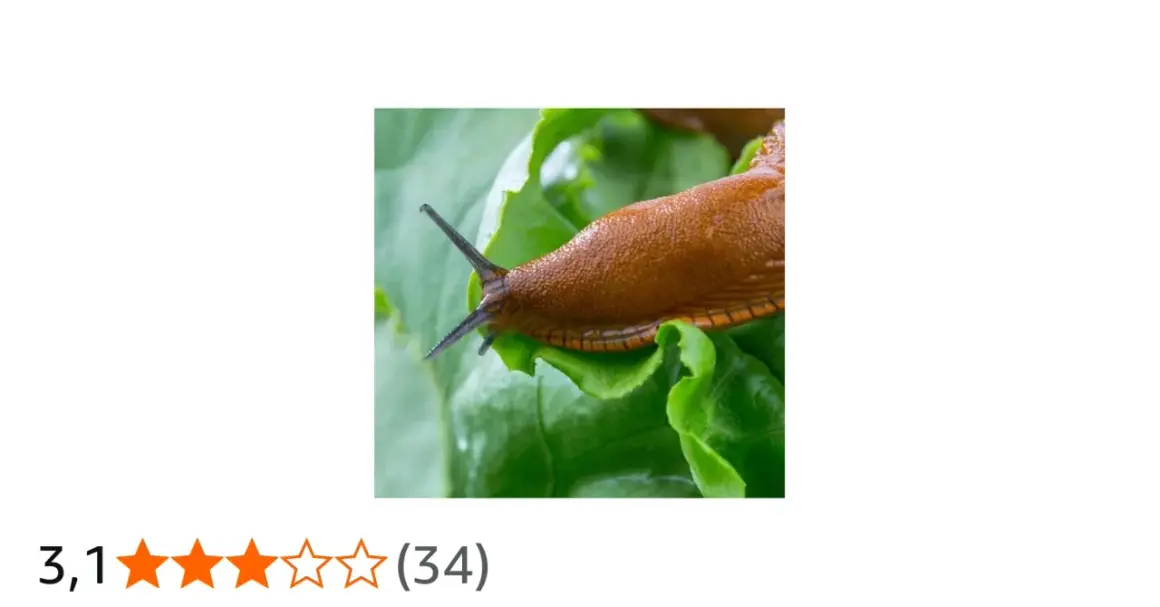 Brun snigel på gröna blad. En naturlig lösning för att bekämpa sniglar är att använda nematoder.