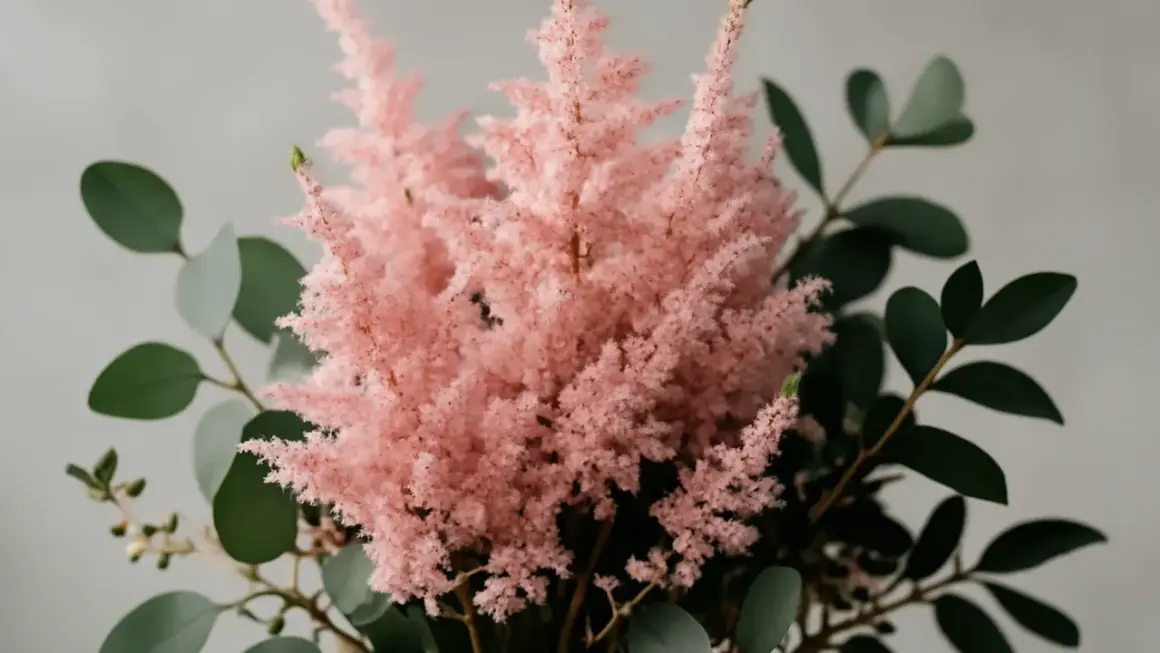 En fluffig, rosa astilbe i kruka omgiven av mörkgröna blad.