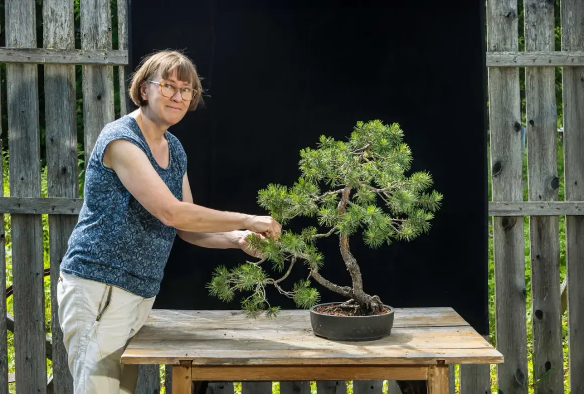 En kvinna med glasögon pysslar med ett vackert **drzewko bonsai** på ett träbord.
