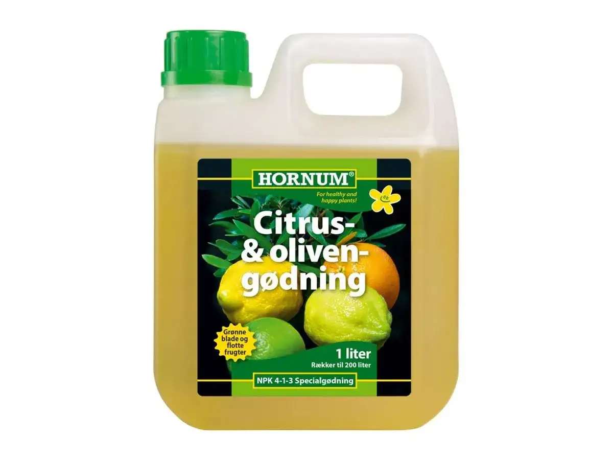 Citrusnäring för citronträd - så gödslar du rätt