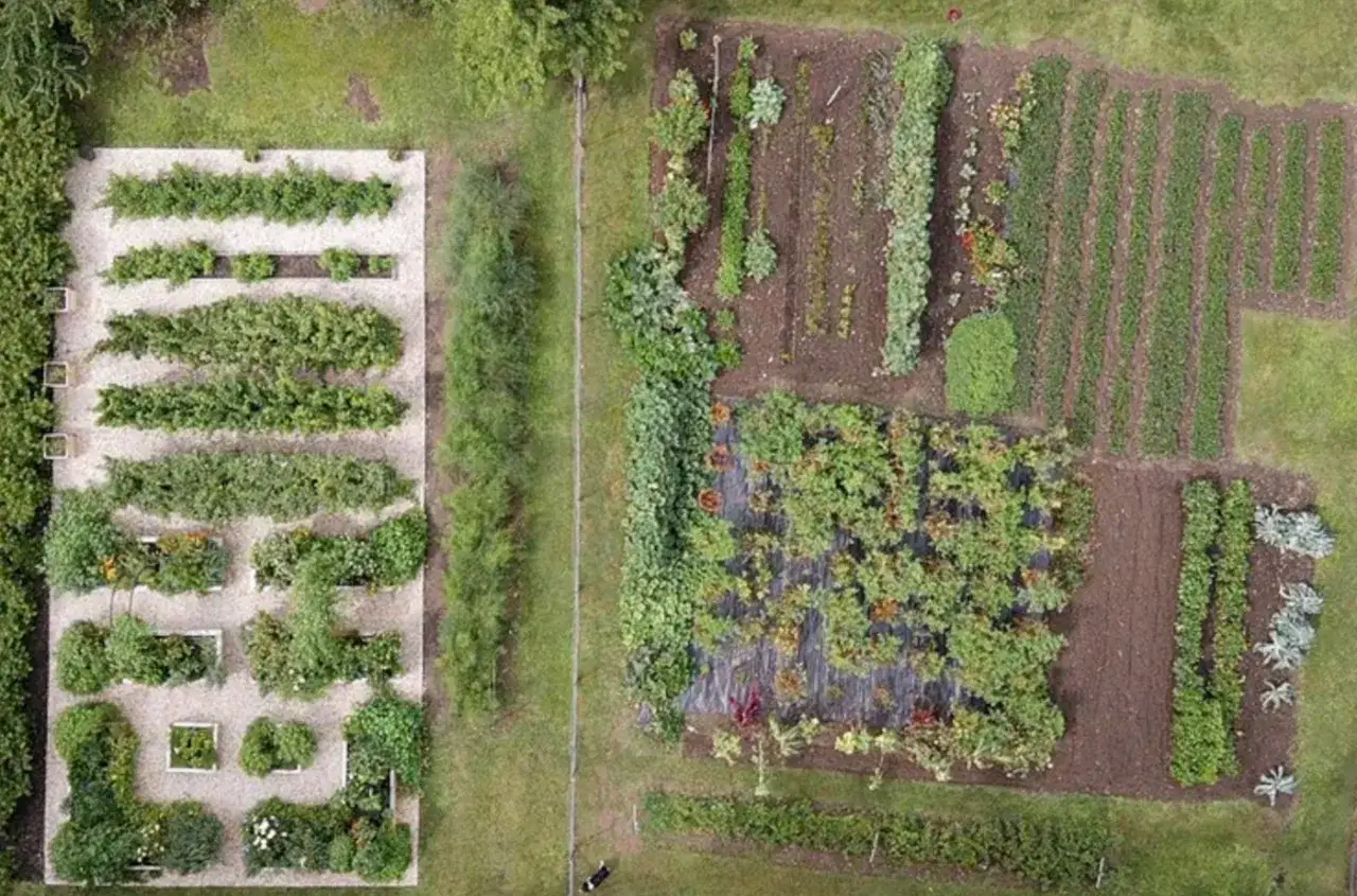 En trädgård med välordnade odlingsbäddar. I en del av trädgården finns jord till hallon och andra bärbuskar.