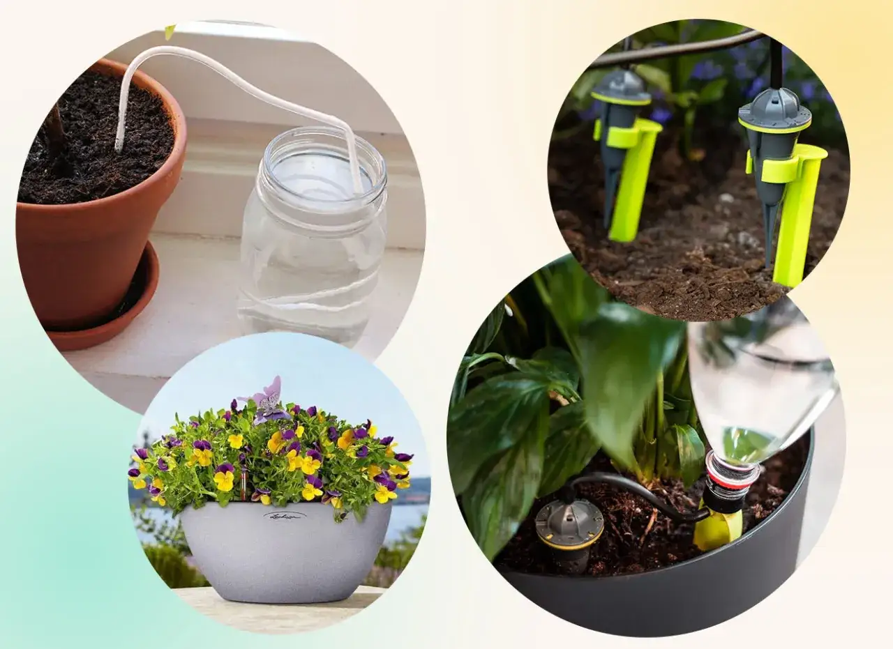 Självvattnande system för blommor, perfekt för att vattna blommor på semestern.
