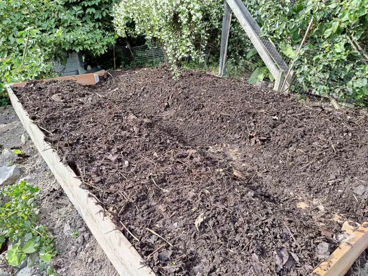 En upphöjd bädd fylld med näringsrik, lerig jord, redo för plantering. Grönskande buskar och ett staket syns i bakgrunden.