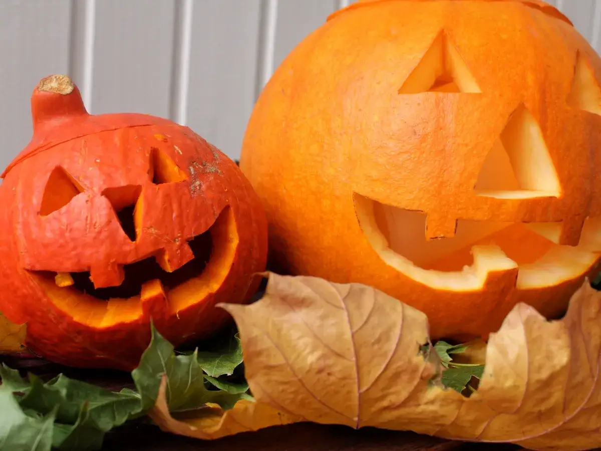 Två läskiga halloween pumpor med utskurna ansikten, omgivna av höstlöv.