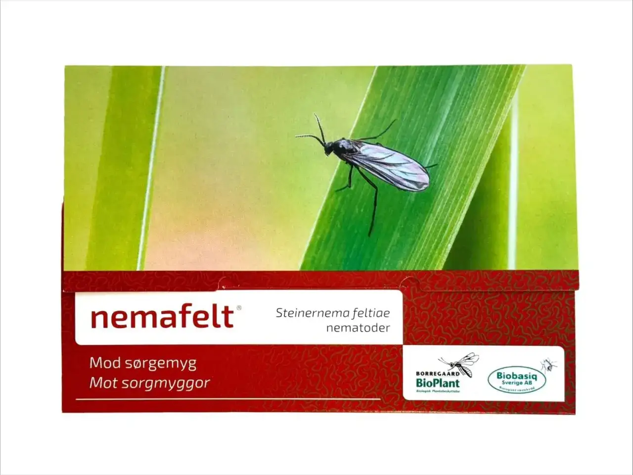 NemaFelt-förpackning med en sorgmygga på ett blad. Innehåller nematoder mot sorgmyggor.